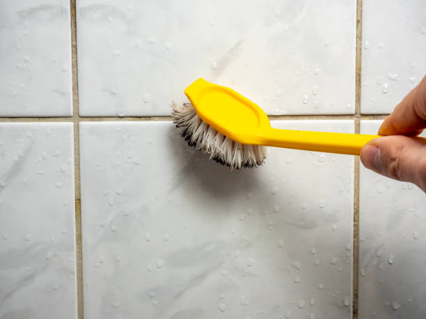 Best Certified Mold Removal  in Manito, IL