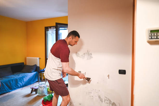 Best Best Mold Removal Companies  in Manito, IL